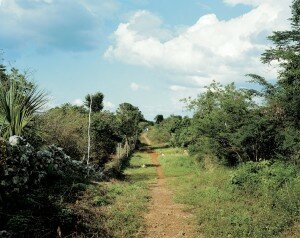 Stephen Shore, 'Yucatan, Mexico, 1990'